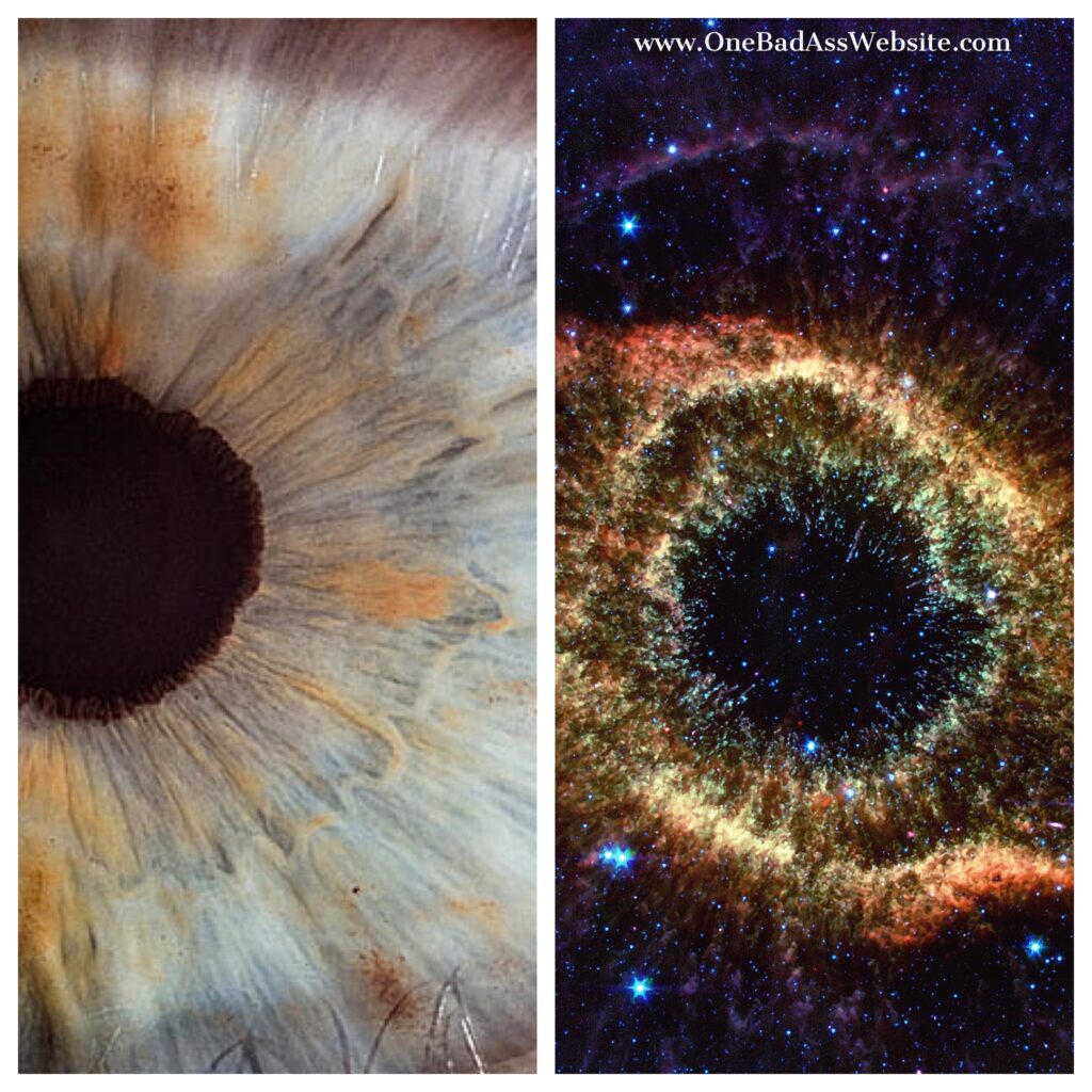 human iris compared to nebula