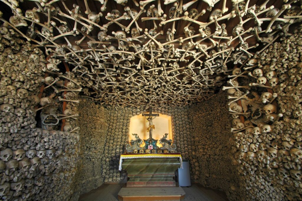 Skulls and bones are arranged in intricate patterns on the walls and ceiling of the Chapel in Czermna, Poland. The bones, belonging to over 3,000 victims of wars and plagues, create a macabre yet strikingly beautiful display. The chapel's basement crypt holds the remains of an additional 21,000 individuals