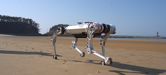 quadrupedal robot, KAIST, RaiBo, robot dog, sandy beach, deformable terrain, advanced neural networks, simulation methodologies